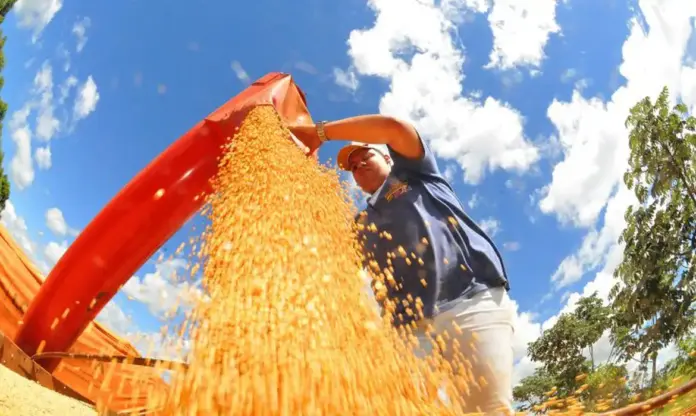 Safra 2025/26: colheita de soja avança e Conab projeta produção recorde de grãos no Brasil