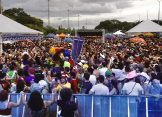 DF Folia 2026: GDF investe R$ 10 mi em 73 blocos Pessoas no DF Folia 2026