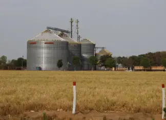 PIB do Brasil cresce 2,3% em 2025 e sobe no G20