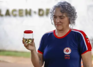 Escorpiões lideram acidentes peçonhentos no DF escorpiões lideram acidentes peçonhentos no DF