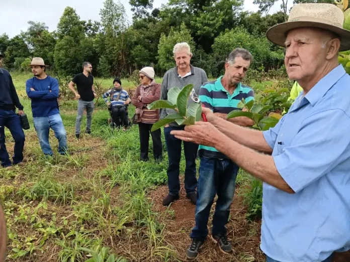 Idosos na natureza-Divulgaçã-Emater-DF Oficina da Emater-DF em Planaltina ensina poda de goiaba