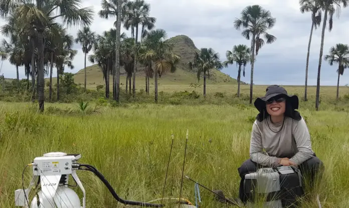 áreas úmidas do Cerrado armazenam carbono