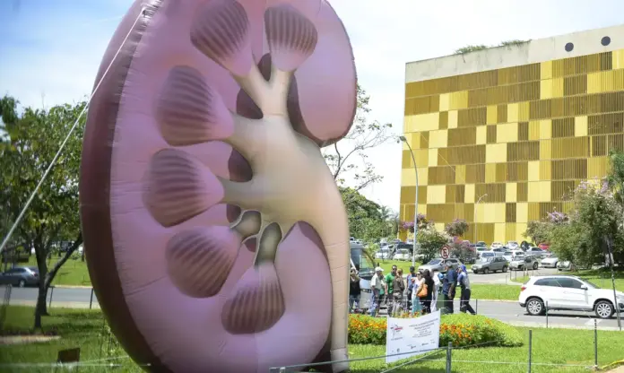 Campanha do Dia Mundial do Rim com destaque para prevenção da doença renal crônica e diagnóstico precoce