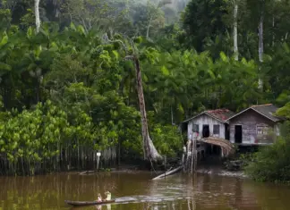 Doença rara isola pacientes por décadas na Amazônia tratamento gratuito na Amazônia