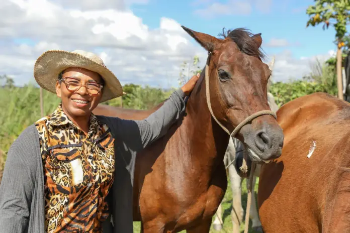 Cavalos adotados no DF