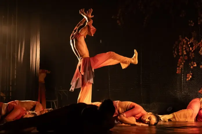 Apresentação de dança