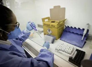 DF registra 29 casos importados de malária em 2025 laboratório