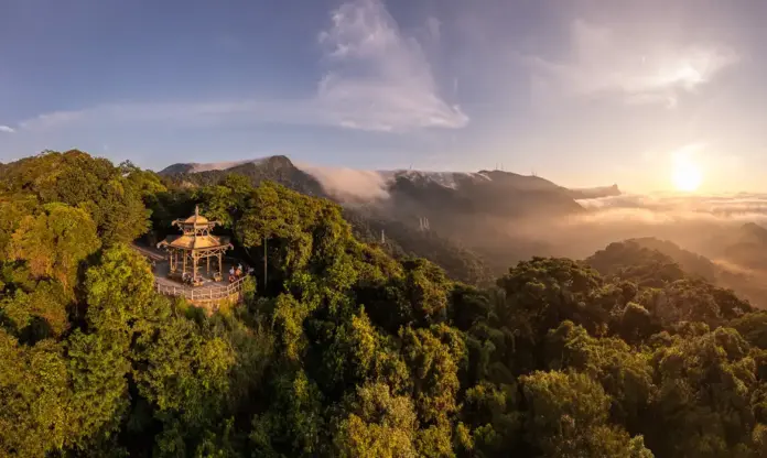Parque da Tijuca RJ