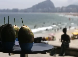 Gastos de turistas no Brasil chegam a R$ 25 bilhões Água de coco na praia