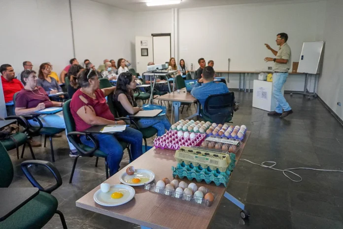 Apresentação de ovos-Divulgação-Agência Brasília Apresentação de ovos-Divulgação