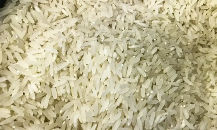 Arroz - Marcello Casal Jr-Agência Brasil Arroz