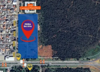 Interdições no trânsito para a feira da uva e do vinho Desvio de trânsito - Feira da Uva