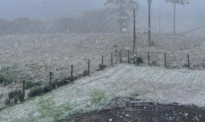 Neve no Sul - Milena Velho Amaral-Divulgação Neve no Sul